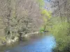 Paisagens do Haute-Loire - Gargantas de l'Alagnon: Rio Alagnon alinhado com árvores