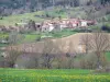 Paisagens do Haute-Loire - Prado de florescência no primeiro plano, negligenciando um hamlet cercado por campos e por pastagens, na borda da floresta