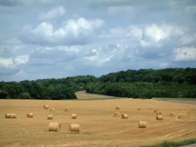 Paisagens do Haute-Saône