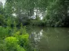 Paisagens do Indre-et-Loire - Vegetação, rio e árvores