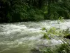 Paisagens Jura - Rio, árvores à beira da água