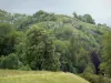 Paisagens Jura - Grama alta de um campo, árvores e pequena colina