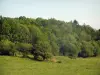 Paisagens de Limousin - Pastagem e floresta (árvores)