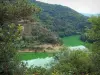 Paisagens do Loire - Desfiladeiros do Loire: rio Loire, árvores na beira da água e colina arborizada