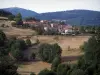 Paisagens do Loire - Maciço de Pilat (Parque Natural Regional de Pilat): casas, pastos, árvores, torre de Crêt de Botte e transmissor de televisão de Crêt de l'Oeillon ao fundo