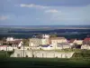 Paisagens do Marne - Comuna de Avize, na Côte des Blancs (vinha de Champagne): vinhas, edifícios e casas da aldeia; campos de colheita em segundo plano
