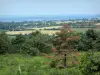 Paisagens do Mayenne - Parque Natural Regional da Normandia-Maine: vegetação da Corniche de Pail com vista para o campo de Mayenne