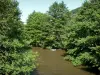 Paisagens do Orne - Orne rio forrado com árvores