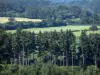 Paisagens do Orne - Árvores, campos e floresta