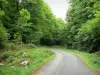 Paisagens do País Basco - Massif des Arbailles, no Soule: pequena estrada que atravessa a floresta de Arbailles