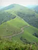 Paisagens do País Basco - Vista, verde, colinas, soule