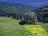 Paisagens do Périgord - Prado salpicado de flores silvestres, árvores, campo com fardos de palha e floresta