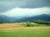 Paisagens do Territoire de Belfort - Planície coberta de campos e árvores, montanhas das montanhas de Vosges ao fundo