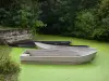 Paisagens de Vendée - Marais poitevin (pântano molhado): barcos em uma concha (pequeno canal) da Veneza verde e árvores à beira da água, em Maillezais