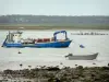 Paisagens de Vendée - Reserva natural da baía de Aiguillon: barcos na água, pilhas, prados salgados e árvores