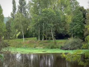 Paisagens de Viena - Rio Vienne, prados e árvores (vale de Vienne)