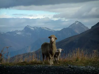 Paisajes alpinos de Saboya