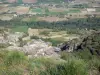 Paisajes de Ardèche - Ver Coirón meseta