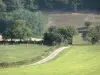 Paisajes del Borbonés - País por carretera rodeada de prados