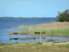 Paisajes de Landes - Con vistas a la laguna y Biscarrosse Parentis de Parentis-en-Born