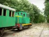 Paisajes de Landes - Parque Natural Regional de las Landas de Gascuña: Tren en la estación de Marquèze Sabres, lo que lleva al museo de la Gran Heath Marquèze
