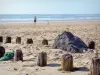 Paisajes de Landes - Costa de Plata: pilotes en la arena en primer plano con vistas a la playa de la playa de Mimizan y el Océano Atlántico