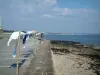Paisajes del litoral de Bretaña - Île-Tudy: ropa tendida, playa de arena cubierto de algas y el mar (Océano Atlántico)