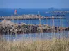 Paisajes del litoral de Bretaña - Hierba salvaje y la costa en el mar, el faro