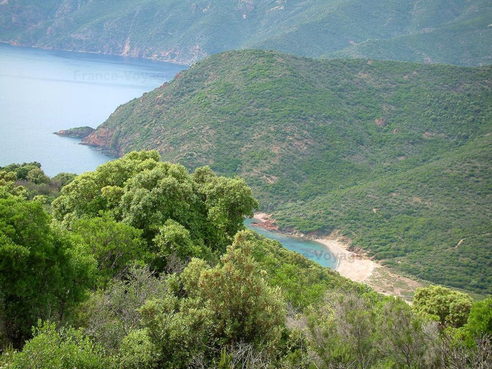 Fotos - Paisajes del litoral corso - 25 imágenes de calidad en alta