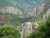 Paisajes de Lozère - Chassezac gargantas - el Parque Nacional de Cévennes: acantilados de granito de los bosques y la garganta