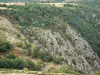 Paisajes de Lozère - Paredes de roca y la vegetación de los barrancos de Chassezac, en el Parque Nacional de Cévennes