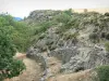 Paisajes de Lozère - Parque Nacional de Cévennes: muros de piedra, roca y vegetación