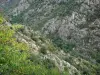 Paisajes de Lozère - Gargantas del Altier, en las montañas Cevennes