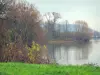 Paisajes de Normandía - Grass, río (el Sena) y los árboles en el valle del Sena