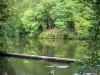 Paisajes de Picardie - Blangy estanque y los árboles en el bosque de Hirson