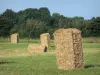 Paisajes de Sarthe - Pacas de heno en un prado