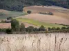 Paisajes de Tarn-et-Garonne - La sucesión de campos ondulados