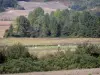 Paisajes de Tarn-et-Garonne - Wood rodeado por campos