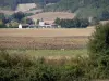 Paisajes de Tarn-et-Garonne - Los campos de la Quercy Blanc