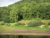 Meer van Pannecière - Kunstmatig meer (lake-reservoir-Pannecière kabelgeleider), waterflora en de kustlijn met bomen, in de Morvan Regionaal Natuurpark