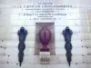 Panthéon - Urne contenant le coeur de Léon Gambetta