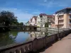 Paray-le-Monial - Loop langs de Bourbince, brug over de rivier, huizen en lantaarnpaal