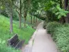 Parc de Belleville - Allée ombragée bordée de bancs