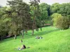 Parc des Buttes-Chaumont - Détente sur la pelouse du parc arboré