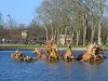 Parc du château de Versailles - Statues du bassin d'Apollon, arbres et Petite Venise