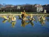 Parc du château de Versailles - Statues du bassin du Dragon