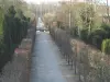 Parc du château de Versailles - Allée bordée d'arbres et agrémentée de bassins