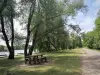 Parc départemental Georges-Valbon - Table de pique-nique au bord de l'eau, sous les arbres