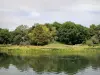 Parc départemental Georges-Valbon - Plan d'eau dans un cadre verdoyant