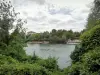 Parc départemental de l'Île-Saint-Denis - Vue sur le fleuve Seine